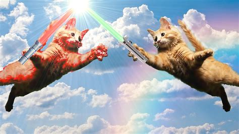 Jedi Cat Humor Lightsaber Wallpapers Hd Desktop And