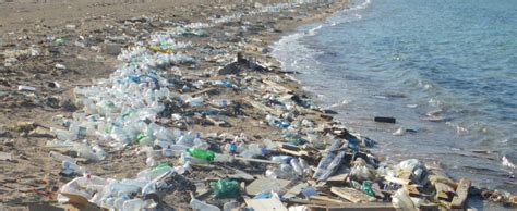 How To Solve The Plastic Pollution Problem In Our Oceans Eco Warrior
