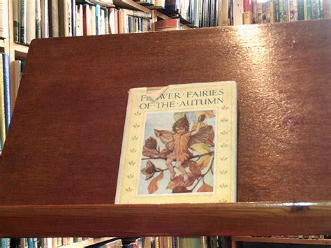 Flower Fairies Of The Autumn By Barker Cicely Mary Very Good