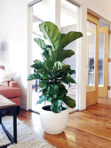 40 Favourite Indoor Garden For Apartment Design Ideas And Remodel