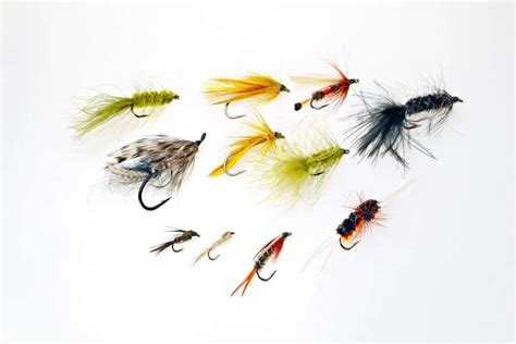 9 Essential Flies For Trout Fly Fishing For Beginners Outdoor Troop