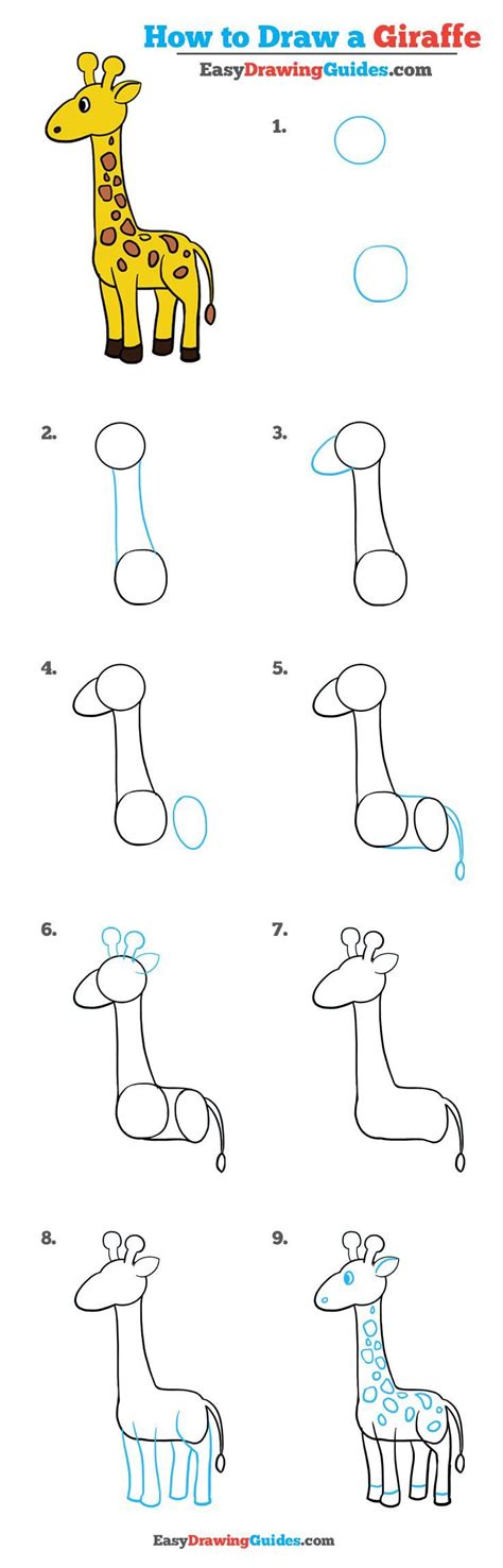 How To Draw A Easy Giraffe Step By Step At Drawing Tutorials