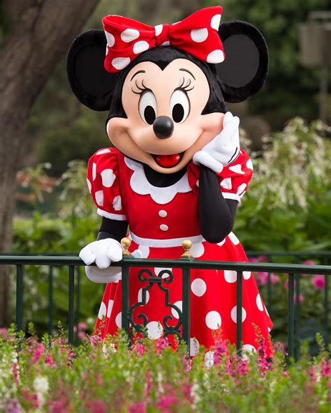 Pin By Wanda Crespo On Disney Mickey Mouse Pictures Minnie Mouse