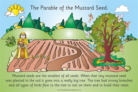 Mustard Seed Parable For Kids