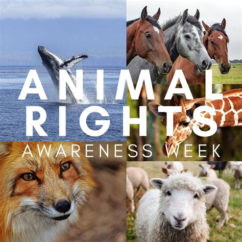 Its Animal Rights Awareness Week Mountainside Animal Hospital North