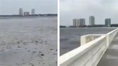 Watch See Video Before And After Of Hurricane Irma Along Tampa Bay Coast