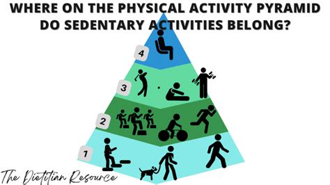 Where On The Physical Activity Pyramid Do Sedentary Activities Belong