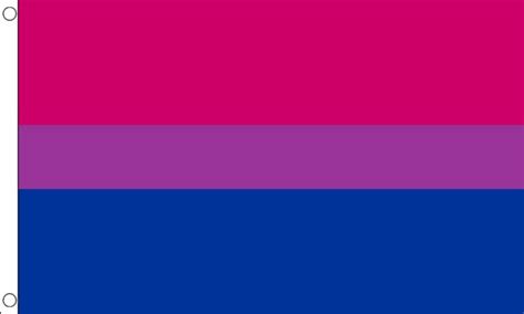Pride, lgbt, lgbtqia, schwul, lesbisch, bisexuell, bi sexuell, trans, transgender, regenbogenfahne, intersektionalismus, schwarze leben zählen, rassismus, anti rassistisch. Bi-Pride Flag | Buy Pride & LGBT Flags & Bunting at Flagman.ie