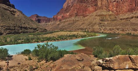 Little Colorado River Merging With The Colorado River In Grand Canyon