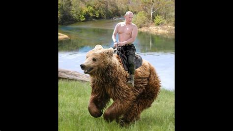 See more ideas about bear, vladimir putin, putin. ПУТИН НА МЕДВЕДЕ В SLITHER.IO - YouTube