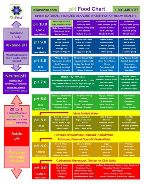 Acidic Alkaline Food Chart