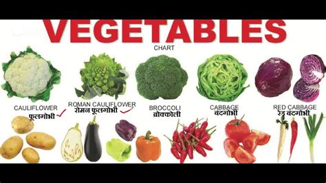Hindimein.net हिन्दी पाठको के लिए education, finance, internet, business आदि से संबंधित जानकारी परोसने वाला hindi blog है! Vegetables Name For Kids/Children Learning/Study Video ...