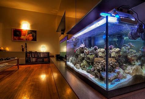A Huge Tank Setup Awesome Aquarium Reef Aquarium Aquarium Fish Tank