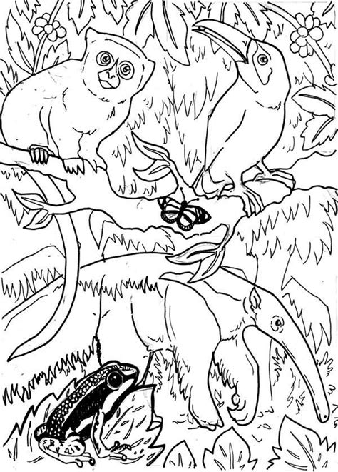 Amazing Rainforest Animals Coloring Page Download