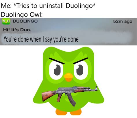 Evil Duolingo Owl Meme Duolingo Meme Memes Dank Saw Owl Meme Sexiz Pix