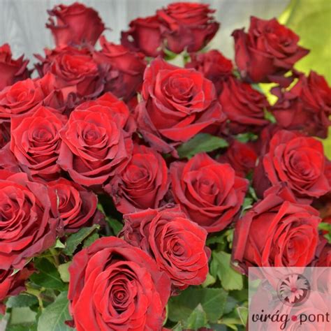 Vörös Rózsa Csokor Szerelem Budafokviraghu