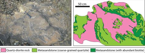Outcrop Photograph And Sketch Of A Meta Sandstone Inclusion Located In