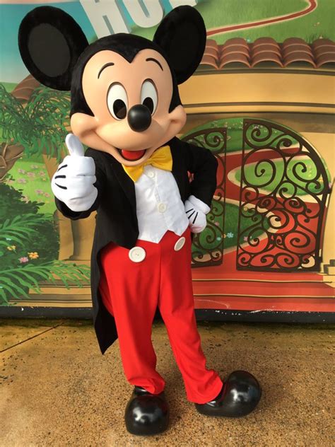 Mickey Mouse Mascot Anil Events Bangalore