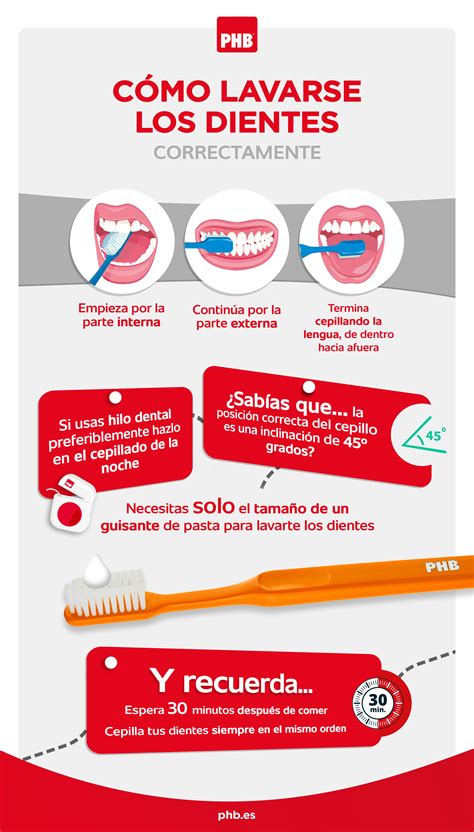 Cómo Lavarse Los Dientes Como Lavarse Los Dientes Salud Bucal