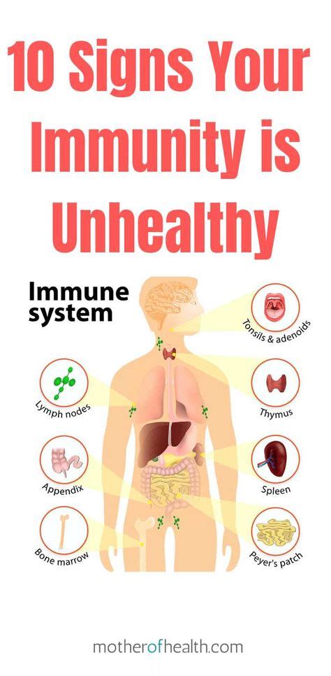 Low Immune System Symptoms 10 Warning Signs How To Boost Your