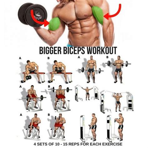 biceps workout step by step guide big biceps workout biceps training biceps workout