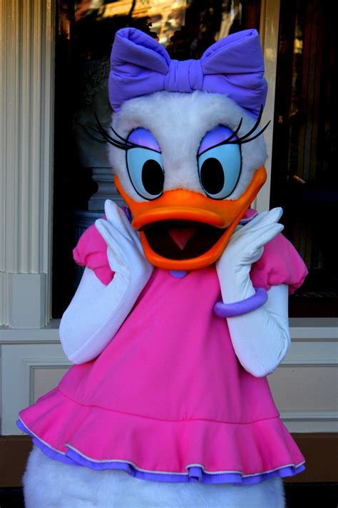 Meeting Daisy Duck Daisy Duck Disney World Pictures Disney