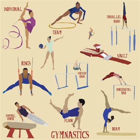 gymnastics illustration gymnastics sport gymnastics illustration