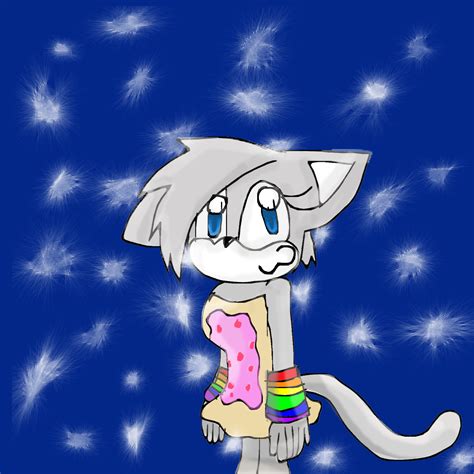 Nyan Cat Sonic Form By Nyan Cat Luver2000 On Deviantart