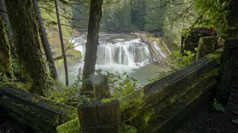 Visit Your Pacific Northwest National Forest Ford Pinchot National