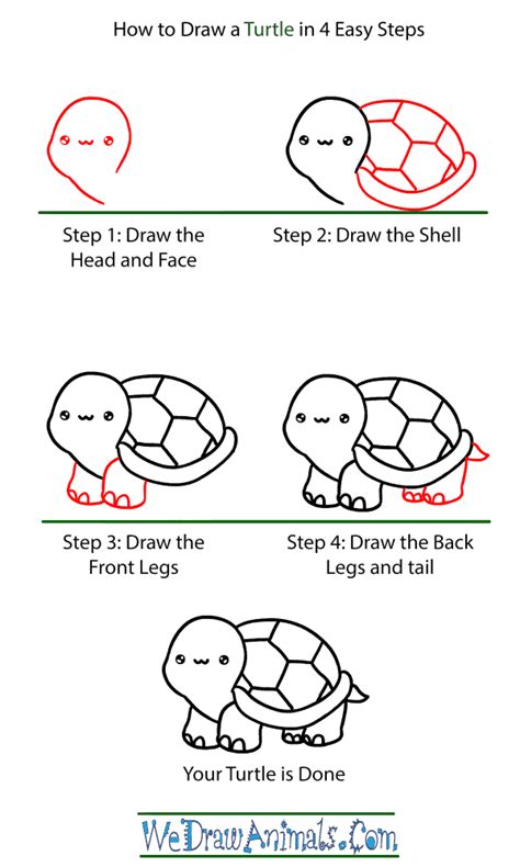How To Draw A Baby Turtle