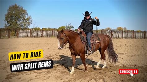 Dc Split Reins How I Use Them To Benefit My Horse And My Ride Youtube