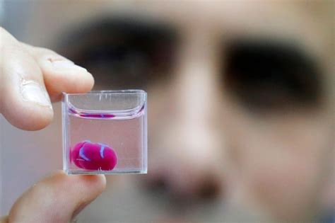 Israeli Scientists Unveil Worlds First 3d Printed Human Heart