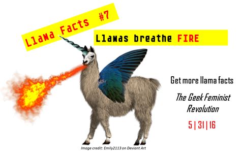 Pin By Kameron Hurley On Llama Facts Strange Photos Llama Facts Llama