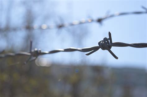 Wallpaper Sunlight Barbed Wire Water Nature Snow Winter Closeup