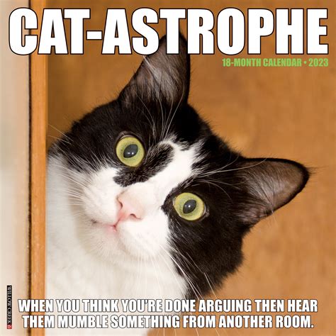 Cat Astrophe 2023 Wall Calendar