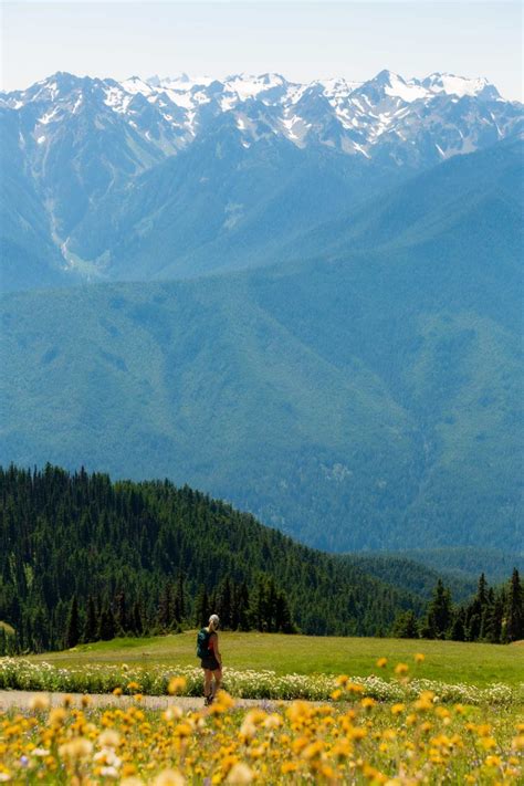 The Best Hurricane Ridge Hike In Olympic National Park