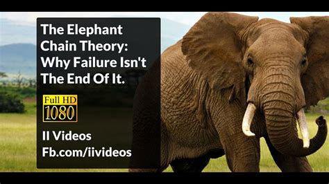 The Elephant Chain Theory: Why Failure Isn't The End Of It - YouTube