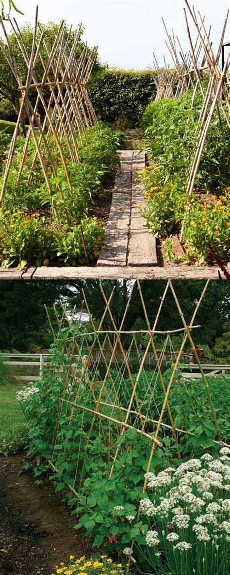 Garden fencing isn't about developing a shield all over the garden. Stunning Vertical Gardening Ideas | Boo Gardening
