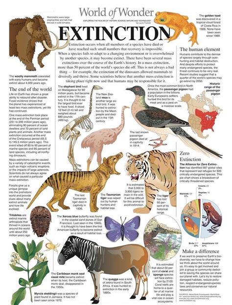 Extinction Animal Infographic Animal Science Science Infographics