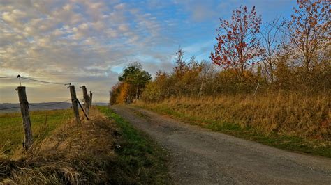 Bei weg.de günstige reiseangebote von über 70 reiseveranstaltern buchen & sparen! herbstlicher Weg Foto & Bild | landschaft, weg, zaun ...