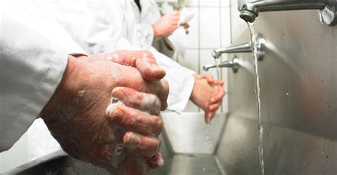 Correct Hand Washing Technique Procedure Video At Campden Bri