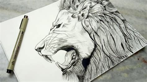 How To Draw A Realistic Ferocious Lion Face Using Micron Pen Very