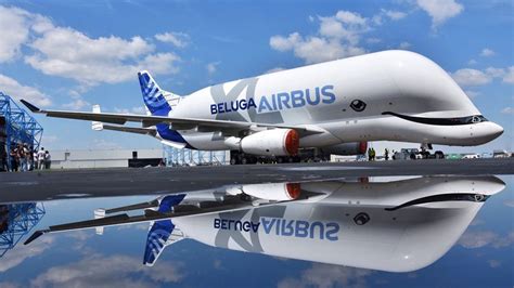 The airbus beluga is a heavy plane when it's completely unloaded. The big picture: Airbus Beluga XL exits paintshop ...