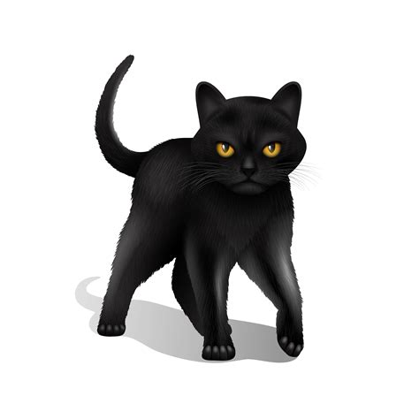 Black Cat Gato Negro Clip Art At Clker Com Vector Cli