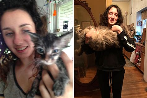 25 Heartwarming Before And After Adoption Photos Of Cats Catlov