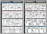 Free Weight Workouts Images