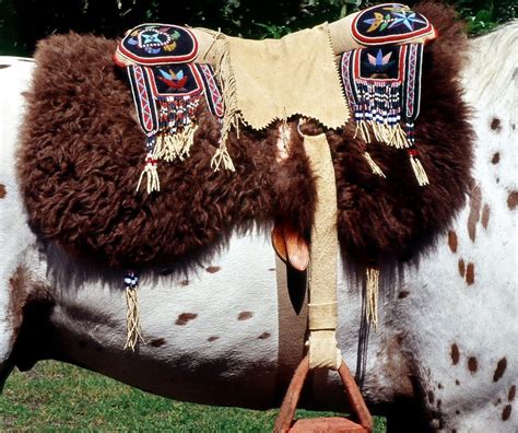 Amazing Native American Nez Perce Horse Regalia By Quillwork Artist