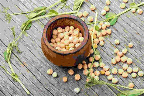 Dried White Peas Health Benefits Nutrients And Uses Thip Media