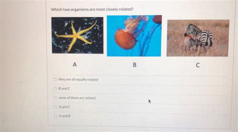 Solved Which Two Organisms Are Most Closely Related Ca A B