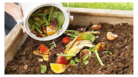 Cómo Hacer De Manera Fácil Y Casera Un Compost Hábito Sustentable Cada